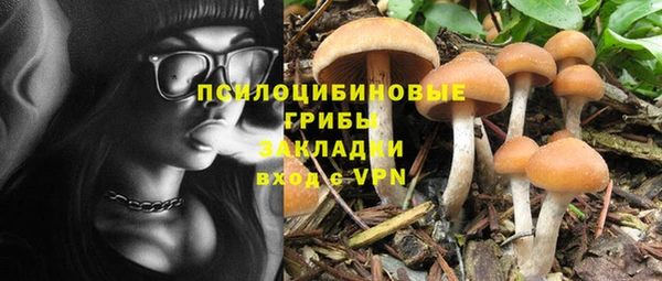 дмт Баксан