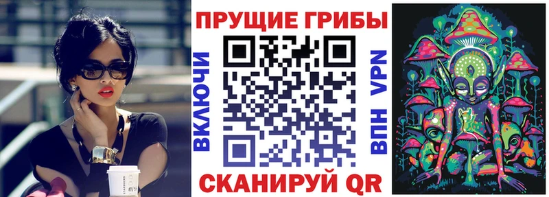 Купить где  Сухой Лог  Псилоцибиновые грибы ЛСД 