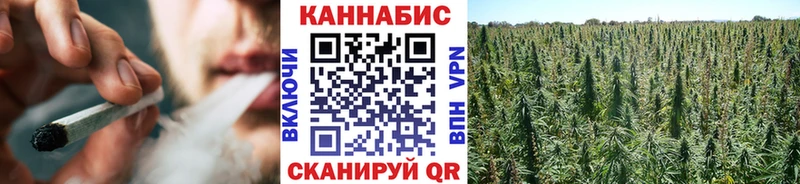 Купить где  Сухой Лог  Бошки марихуана ГИДРОПОН 